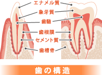 虫歯治療